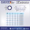 ลูกบล็อก ทอร์ค 1/2" NKT Torque ขนาด 8-24มม.
