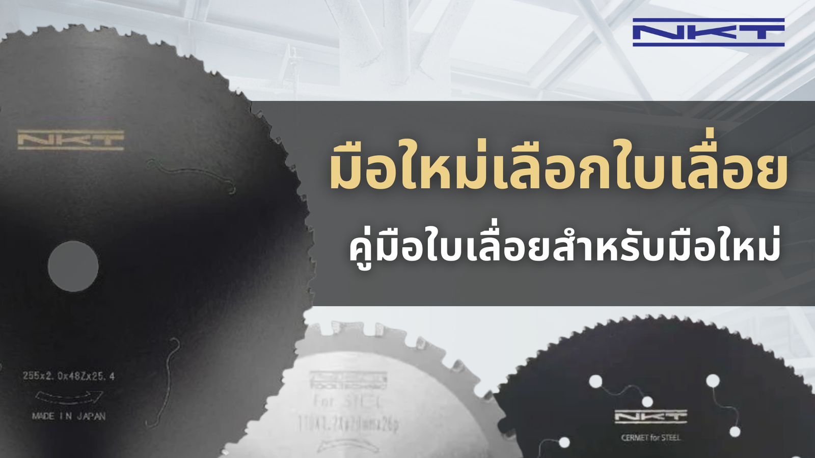 คู่มือใบเลื่อยสำหรับมือใหม่