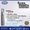 ปั๊มบาดาลโซล่าเซลล์ BOUSTON รุ่น 4BSP10-8 2200W 4"