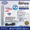ปั๊มบาดาล SUBMERSIBLE PUMP BOUSTON รุ่น 4BTD 1-8M