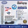 ปั๊มบาดาล SUBMERSIBLE PUMP BOUSTON รุ่น 3BTD 1.5-22S