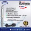 ปั๊มบาดาล SUBMERSIBLE PUMP BOUSTON รุ่น 4BTD 1.5-11M